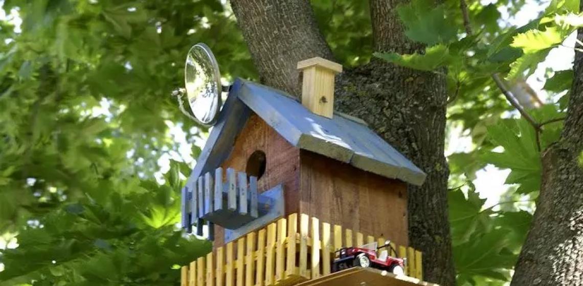 بيت الطيور DIY مصنوع من الخشب: الرسومات والأبعاد والمواد والديكور والتركيب